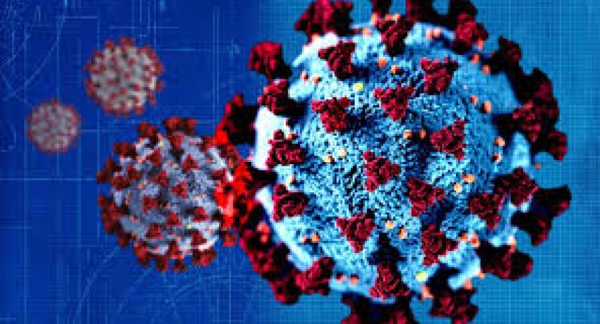 Don’t panic because of  Coronavirus